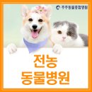 주주동물병원 네이버블로그