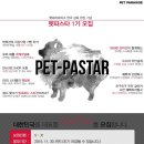 펫 파라다이스(pet paradise) 이미지