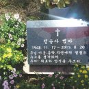 골몰농장 이미지