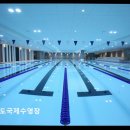 송도 국제 수영장 | [인천 수영장 추천] 송도국제수영장 체계적 강습과 깔끔한 시설 만족도 높아요