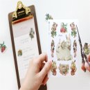 도도래빗 이미지