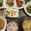 금륜사 | 서울 걷기 좋은 길 추천 벚꽃 진 자리에 황매화 만개한 안산자락길