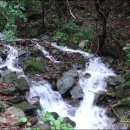 산골짜기 농원