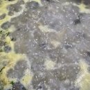 어전칼국수 이미지