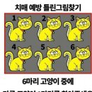 요거해 이미지