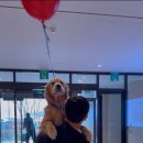 띵킹 독(Thinking Dog) 이미지