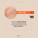 타토아의원 이미지