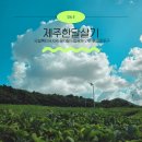 동일리-10 | 제주한달살기 8일차 오설록티뮤지엄 곶자왈도립공원 연돈 동일리포구