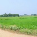 수원비행장공인중개사사무소 이미지