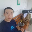 와촌보건지소 이미지