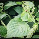 공감공간 이미지