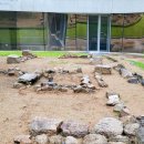 곤명축구장 | 서울 - 동대문DDP, 갤러리 문, 동대문역사관