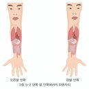 종부원리