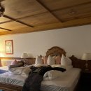 호텔나무 이미지