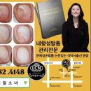 말굽별