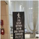 살롱유월 이미지