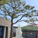 서해랑길 보령구간 61코스 가을속으로 가봅시다