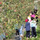 창수초등학교병설유치원 이미지