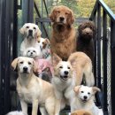 푼타하우스 이미지