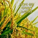 내 인격은 얼마나 될까 이미지