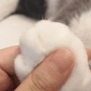 말랑한하루 이미지
