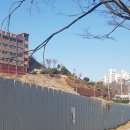 남중문구 이미지