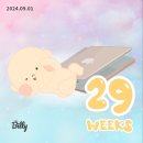 9월 첫주 구슬맨 29주차