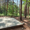 강릉 노추산 힐링캠프 이미지