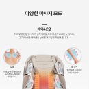 동동의자