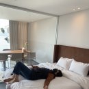 라테라스B 이미지