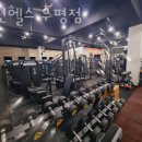 금성헬스 네이버블로그