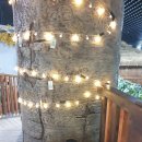 영인산산림박물관 이미지