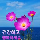 정녕 그날밤 아무일도 일어나지 않았다 이미지