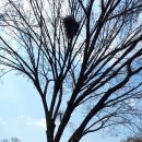 각심재길 이미지