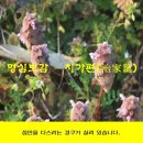 명심보감 이미지