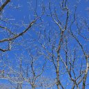 달밭골나눔터 이미지