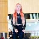 리즈컬러 이미지