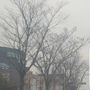 투페이스