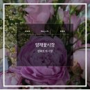 보람공판장 | 단돈 2만 원의 행복! 엄마 생신 선물 구매 양재 생화시장 꽃 &꽃병 구매 후기(2026년 하계휴가일정포함)