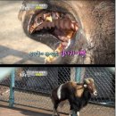 균영농장 TV리포트