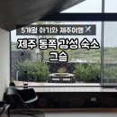 볕 | 5개월 아기랑 제주 동쪽 여행 제주 동쪽 구좌 독채 감성숙소 '그슬' + 볕 후기