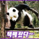 바이크알리