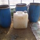 쌀뜨물을 이용한 유산균 액비만들기 이미지