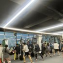 삼산무에타이 구리지관 이미지