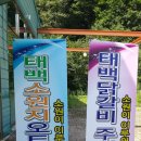 태백소원지 오토캠핑장 이미지