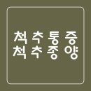 서라벌정형외과의원 이미지