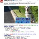 #CNN #KhansReading 2018-06-26-2 Former President George H.W. Bush gets a new service dog, Sully 이미지