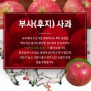 문경거점산지유통센터 | [문경시조합농산물] 문경사과 아삭하고 달콤한 꿀사과, 부사(후지) 겨울사과 지금이 제일 맛있어요...