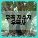 우곡사 저수지 | [창원 우곡저수지+우곡사] 시원한 나무그늘데크와 아담한절데이트