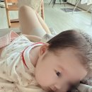 (주)태성미디어 | 대구산후도우미_달서구 감삼동 산모님의 정성스런 이용후기 입니다.